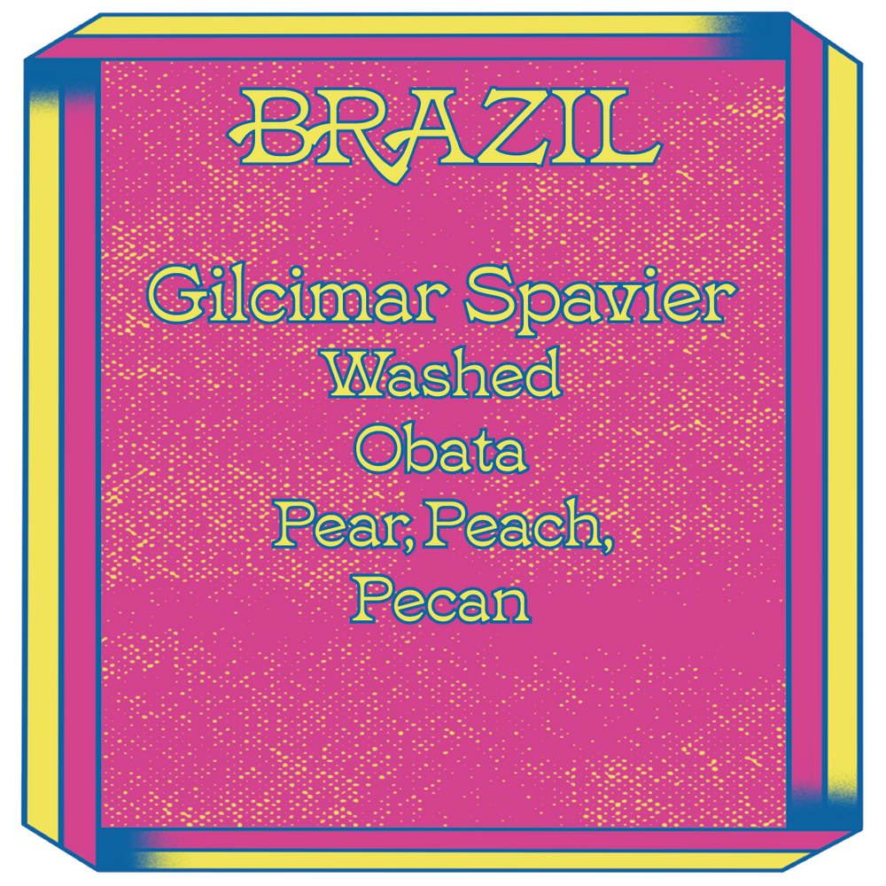 Brazil, Gilcimar Spavier, Obata, Washed