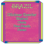 Brazil, Gilcimar Spavier, Obata, Washed