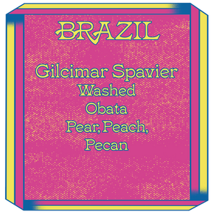 Brazil, Gilcimar Spavier, Obata, Washed
