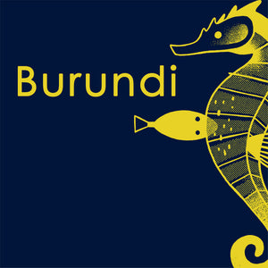 
            
                Load image into Gallery viewer, Burundi, Izuba, Honey
            
        