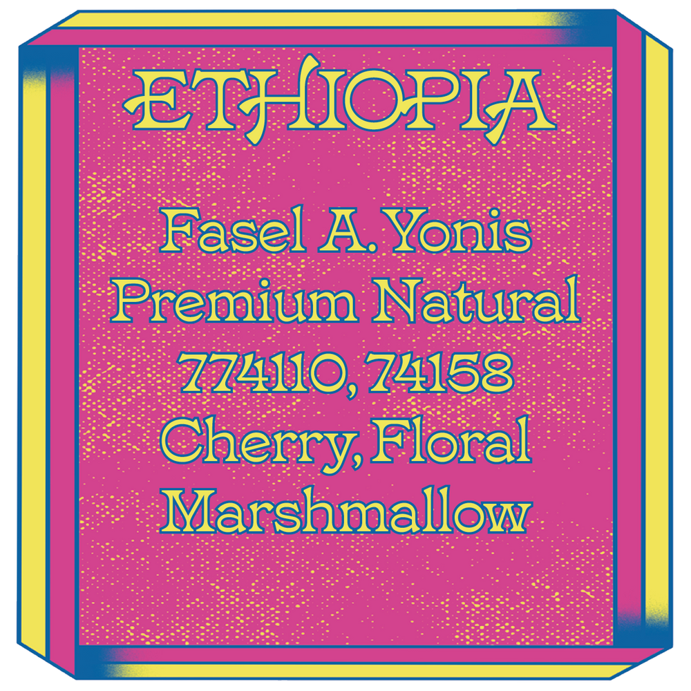 Ethiopia, Fasel A. Yonis, Premium Natural