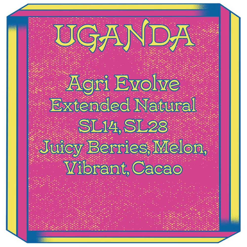 Uganda, Agri Evolve, SL14 SL28, Extended Natural