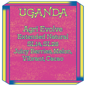 Uganda, Agri Evolve, SL14 SL28, Extended Natural